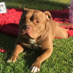 Meet your Posher, Fern